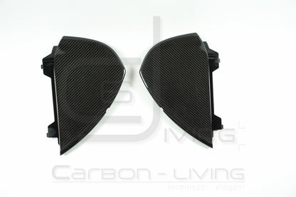 Audi TT TTS TT RS 8J Carbon Armaturenbrettblenden Abdeckungen Endkappen Verkleidungen für Armaturenbrett Set