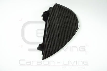 Audi TT TTS TT RS 8J Carbon Armaturenbrettblenden Abdeckungen Endkappen Verkleidungen für Armaturenbrett Set