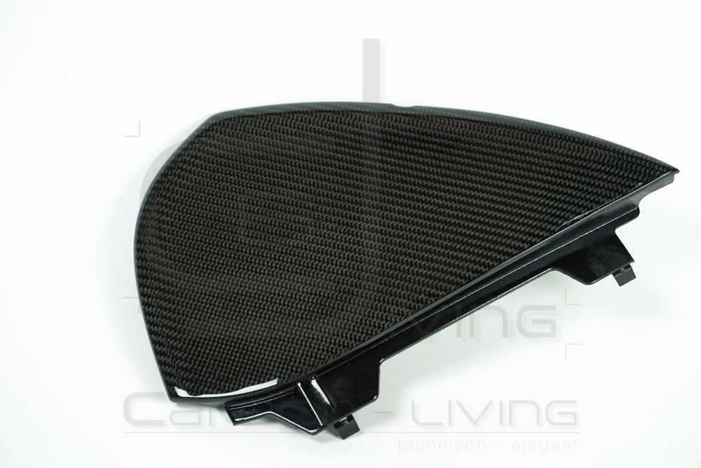 Audi TT TTS TT RS 8J Carbon Armaturenbrettblenden Abdeckungen Endkappen Verkleidungen für Armaturenbrett Set