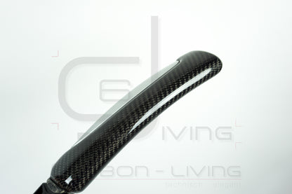 Audi TT TTS TTRS 8J Carbon Zuziehgriffe Türgriffe Griffe Haltegriffe Türverkleidung